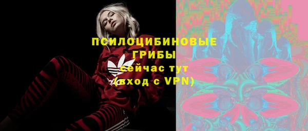 сатива Алзамай