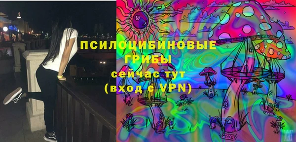 прущий лед Алексин