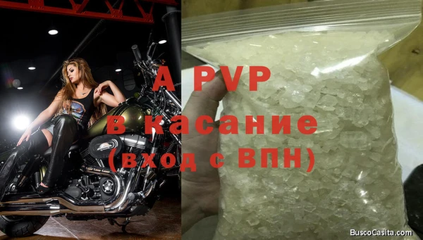 сатива Алзамай