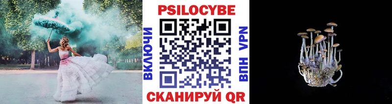 Псилоцибиновые грибы прущие грибы  цены наркотик  Вилючинск 
